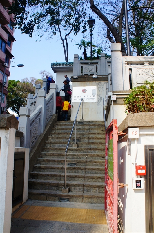 DSC00753_R