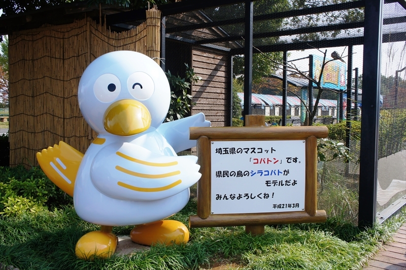 DSC01158_R