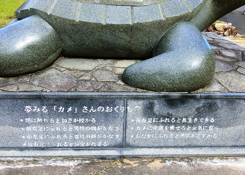 CIMG3767_R