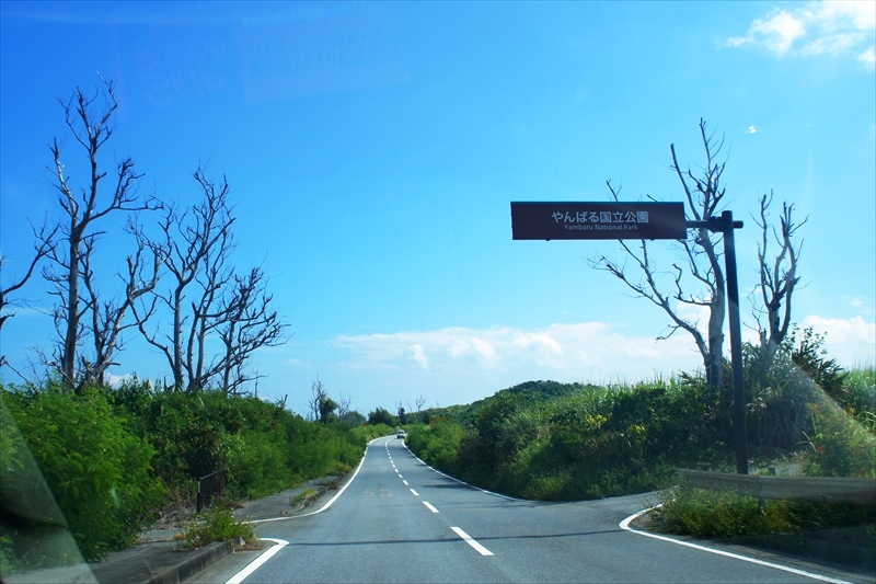 DSC00749_R