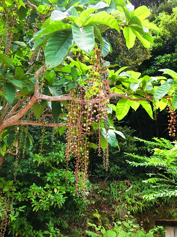CIMG6922_R