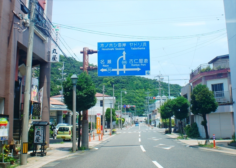 DSC00502_R