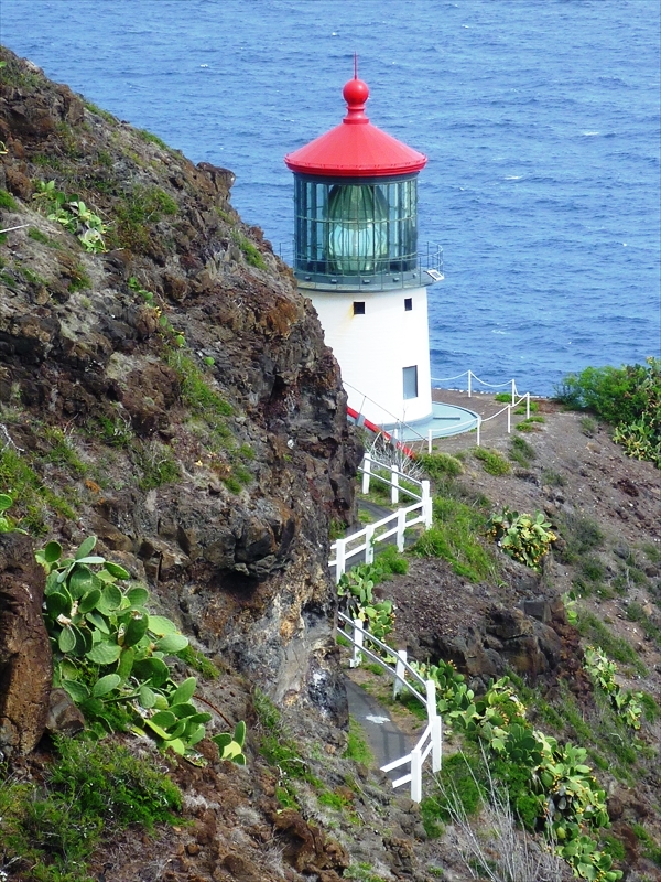 P1090621_R