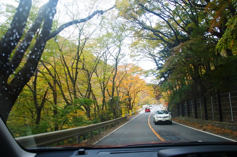 DSC01638_R