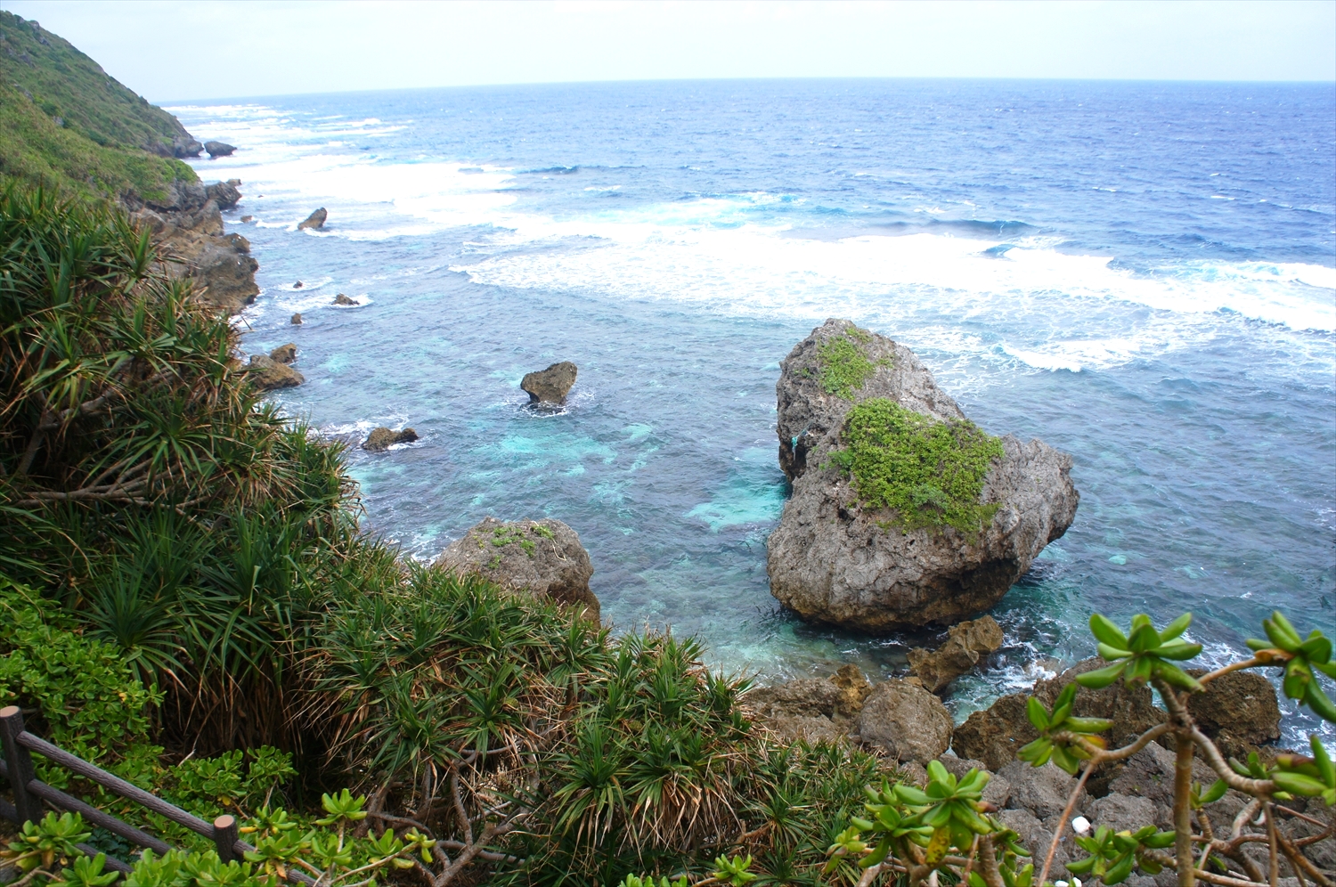 DSC00335_R
