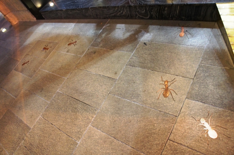 DSC09013_R