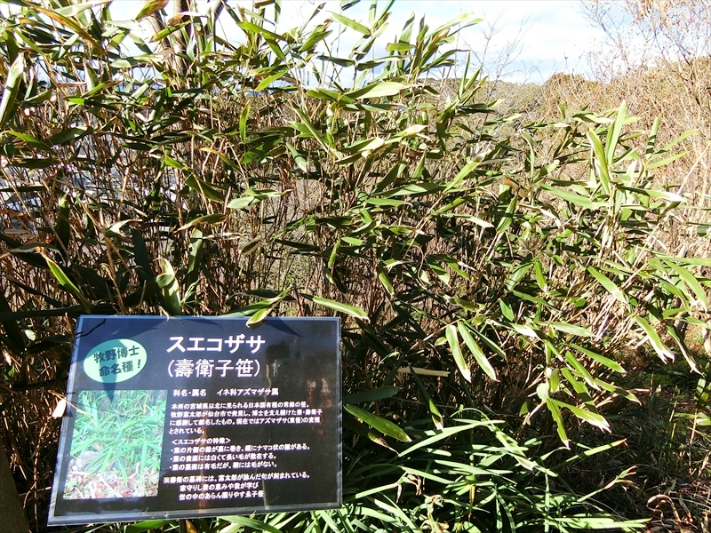 CIMG6027_R