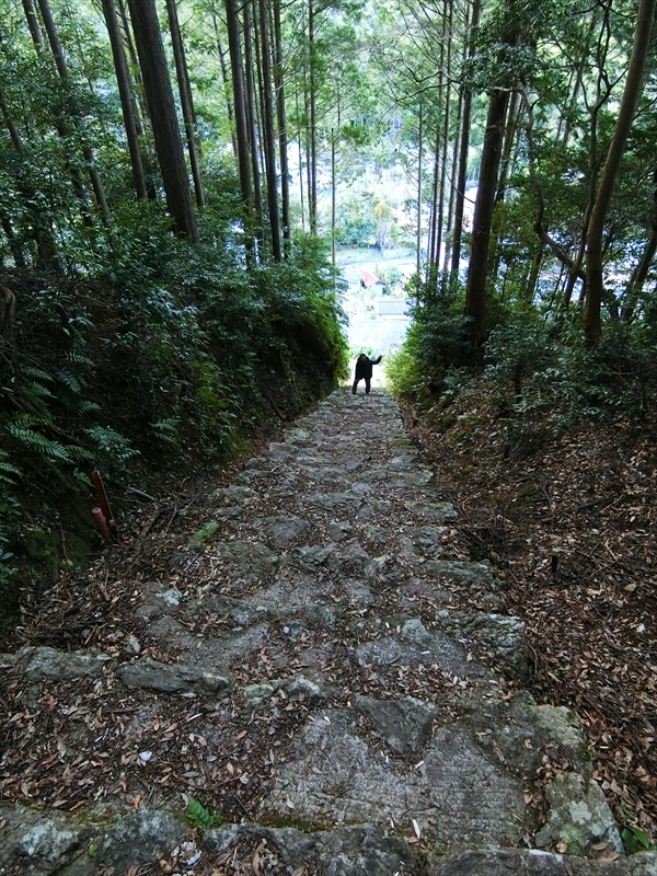 CIMG6143_R