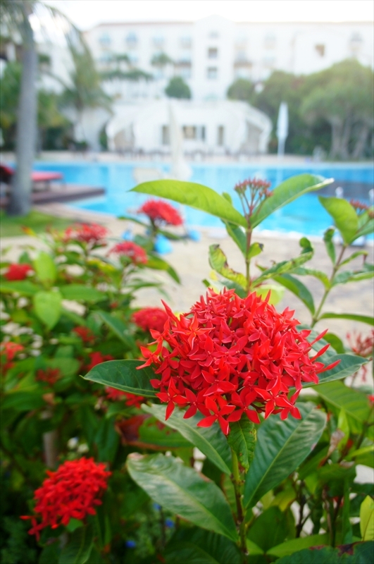 DSC00130_R