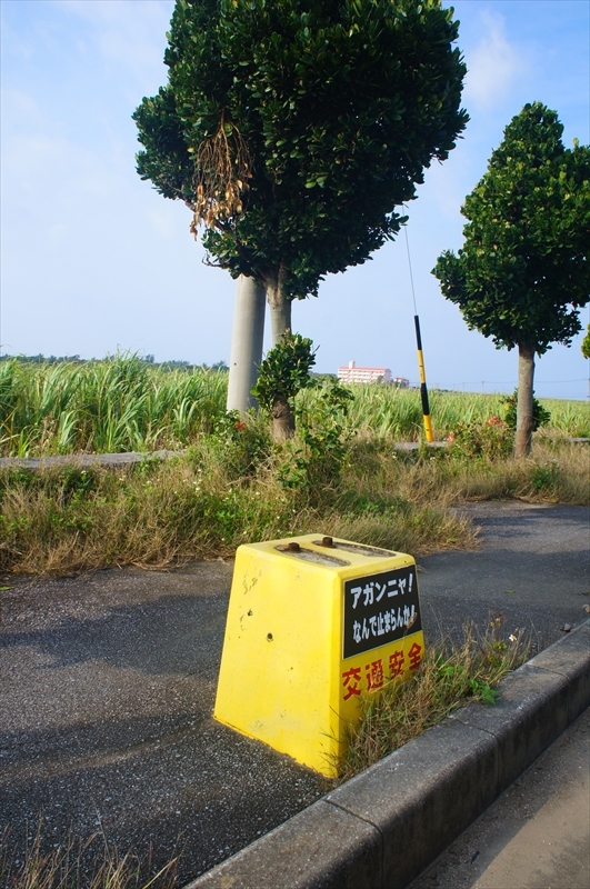 DSC00664_R