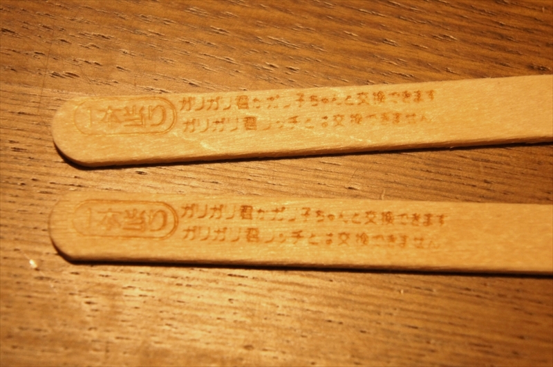 DSC01994_R