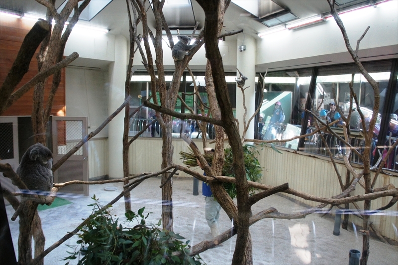 DSC01196_R