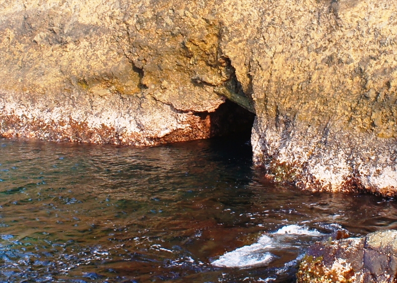 DSC00110_R