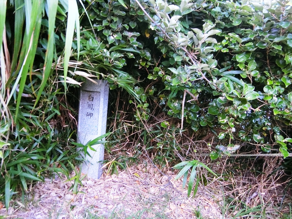 CIMG3716_R