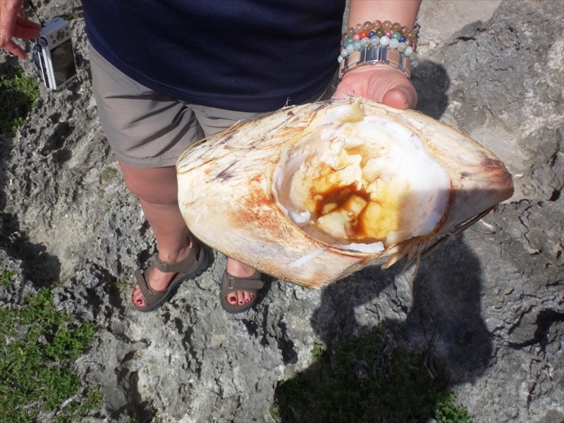 DSC08440_R