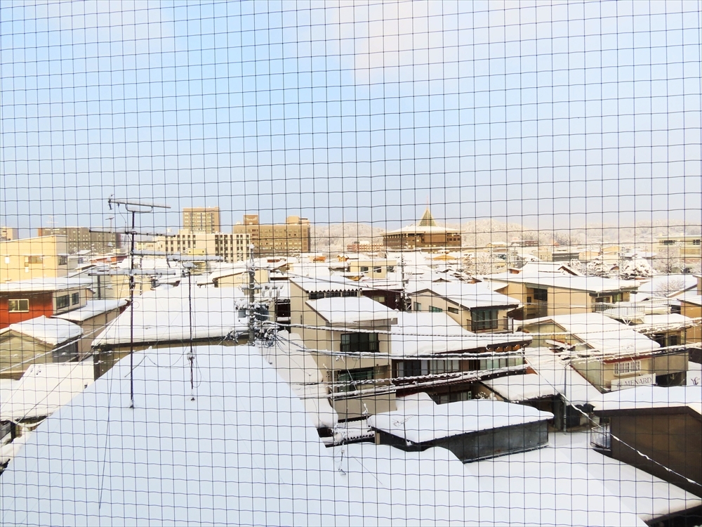 IMG_1118_R