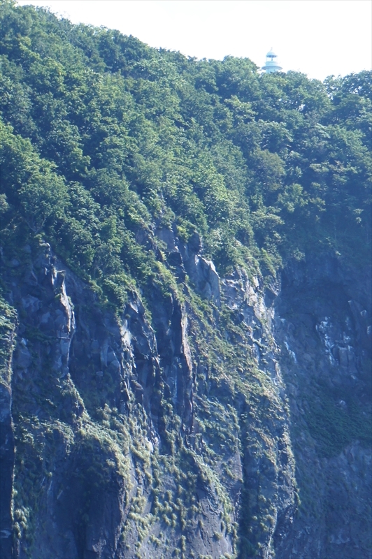 DSC00785_R