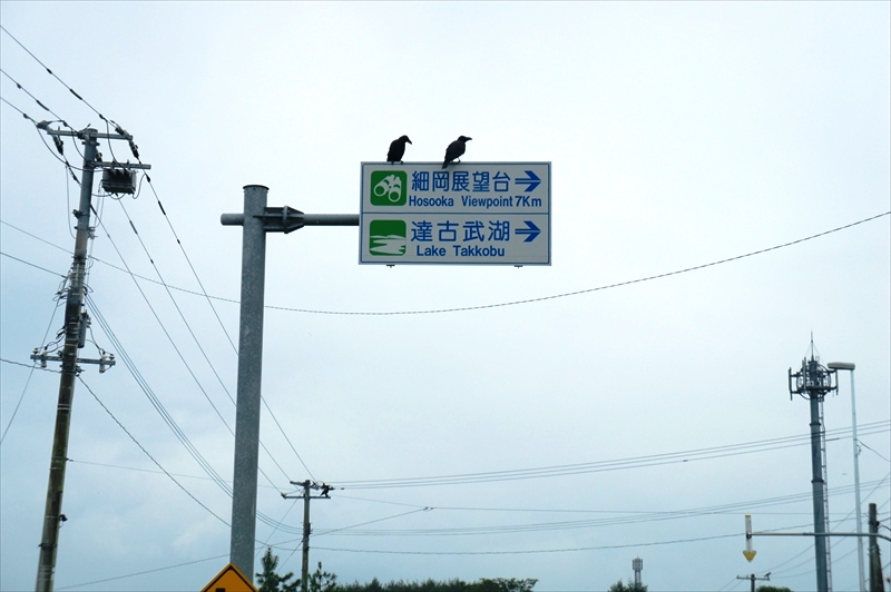 DSC00605_R