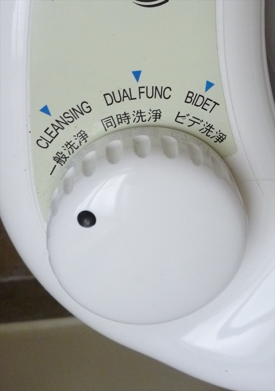 P10001020_R