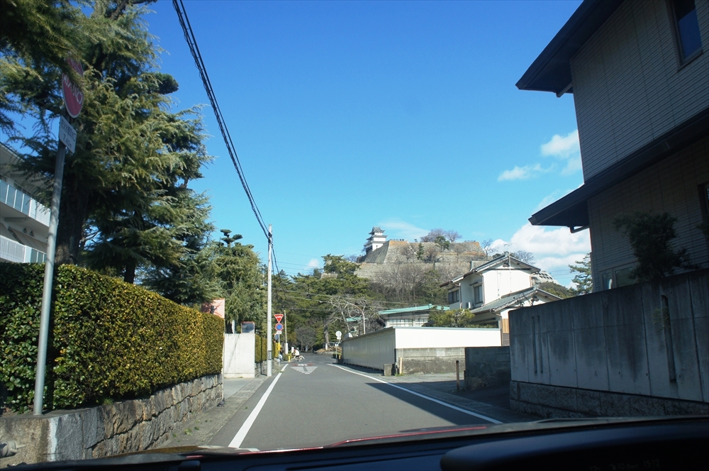 DSC01261_R