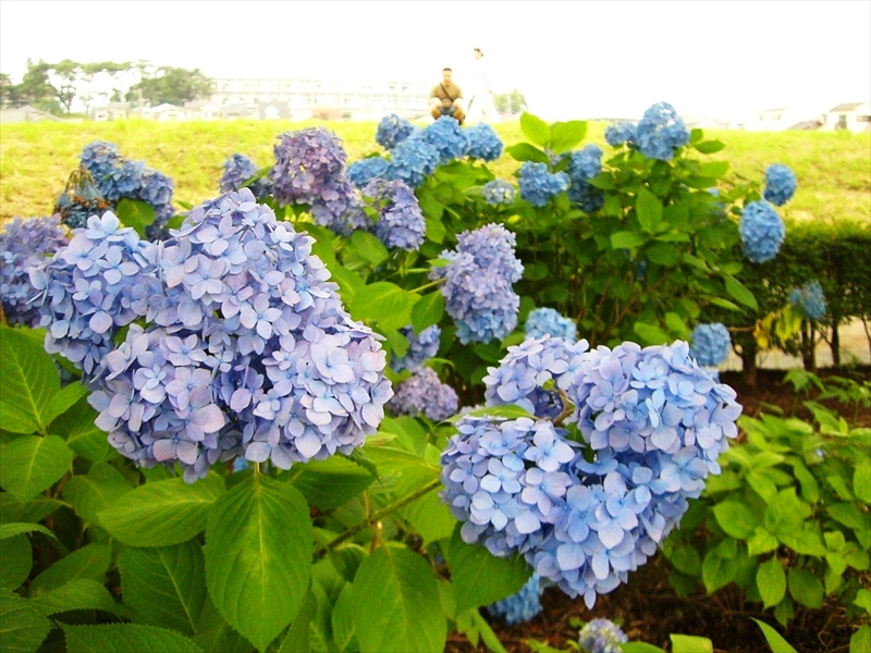 CIMG3849_R