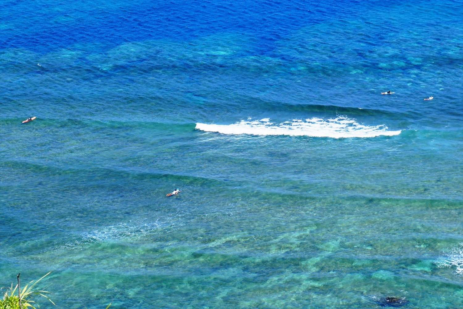 DSC00835_R