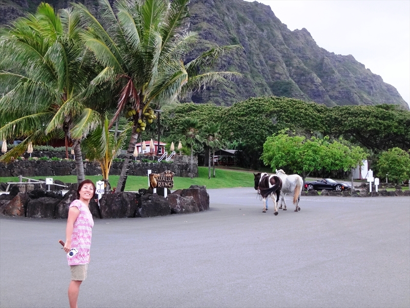 DSC08189_R