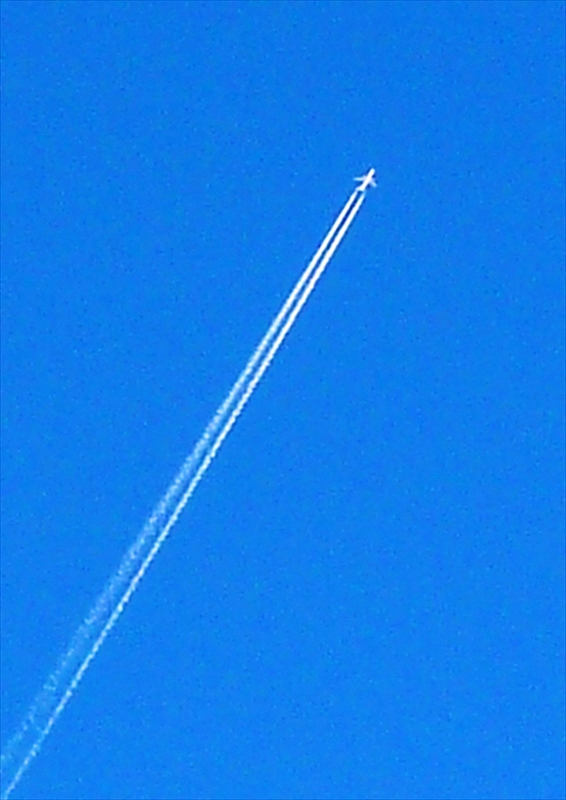 P1120321_R