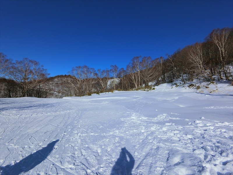 CIMG0202_R