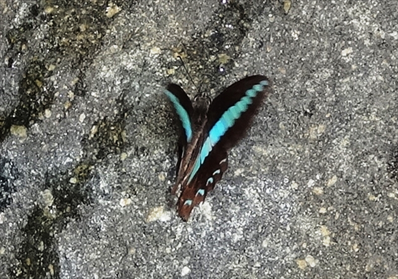 DSC03794_R