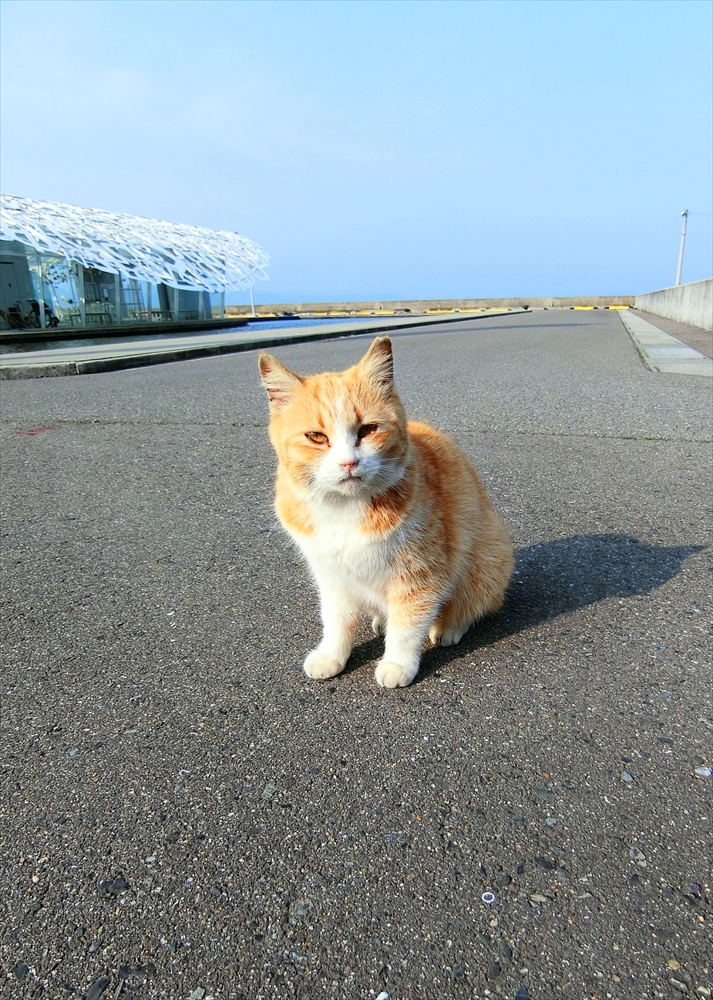 CIMG0152_R