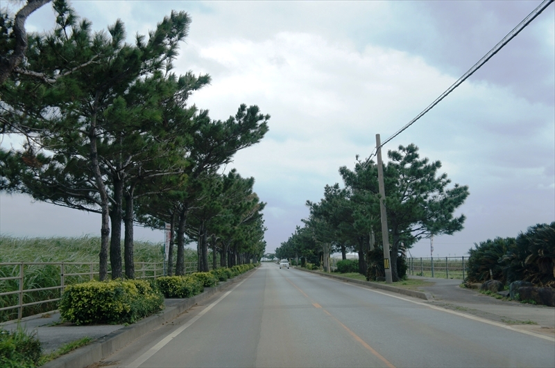 DSC02452_R