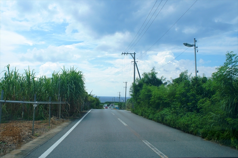 DSC00087_R