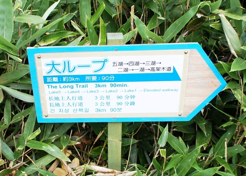 DSC01054_R