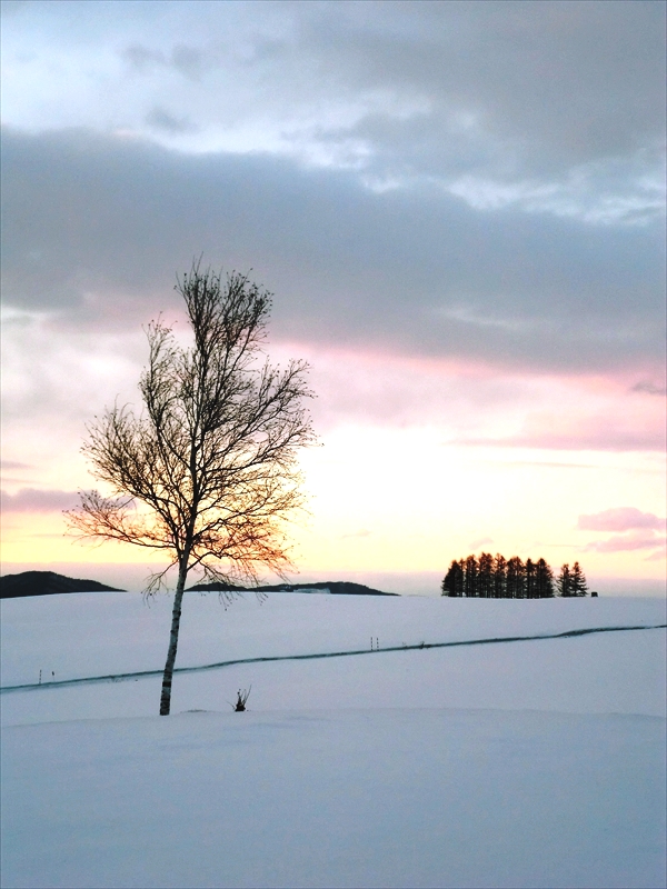 CIMG0882_R