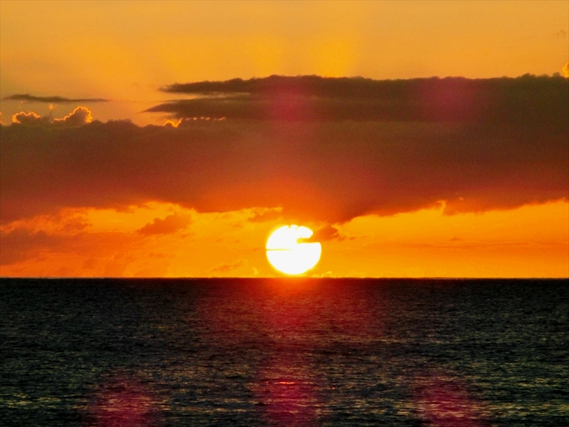 CIMG1261_R