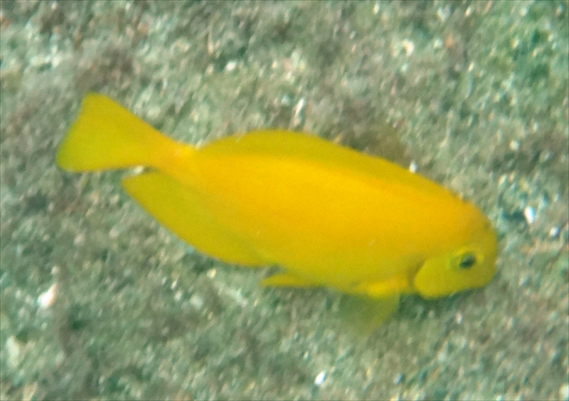 DSC07320_R