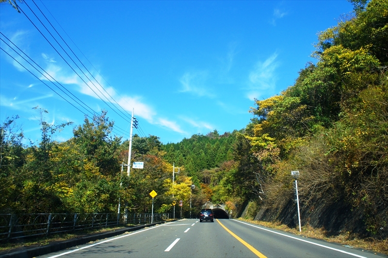 DSC01597_R