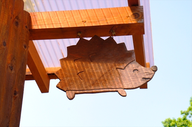 DSC08549_R