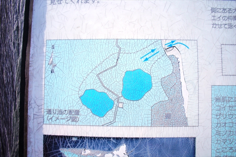 DSC00449_R