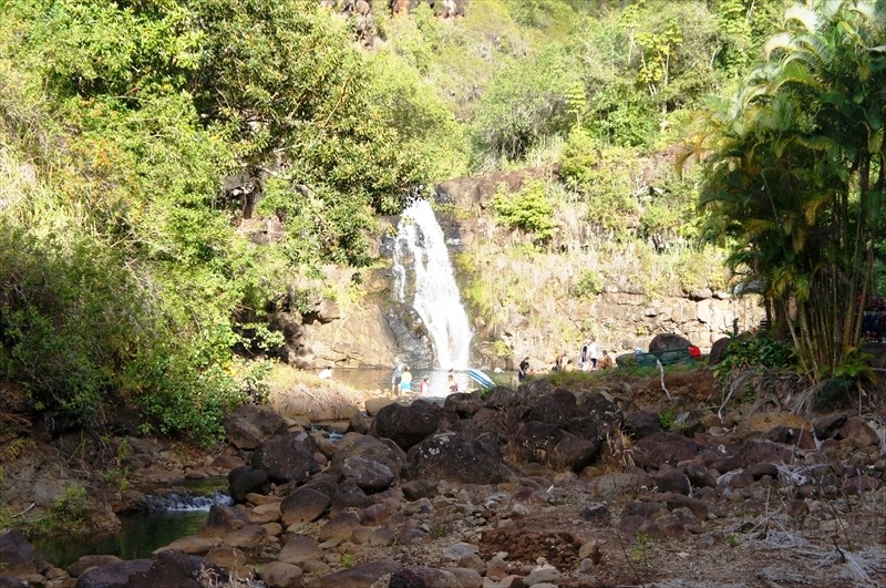DSC08295_R