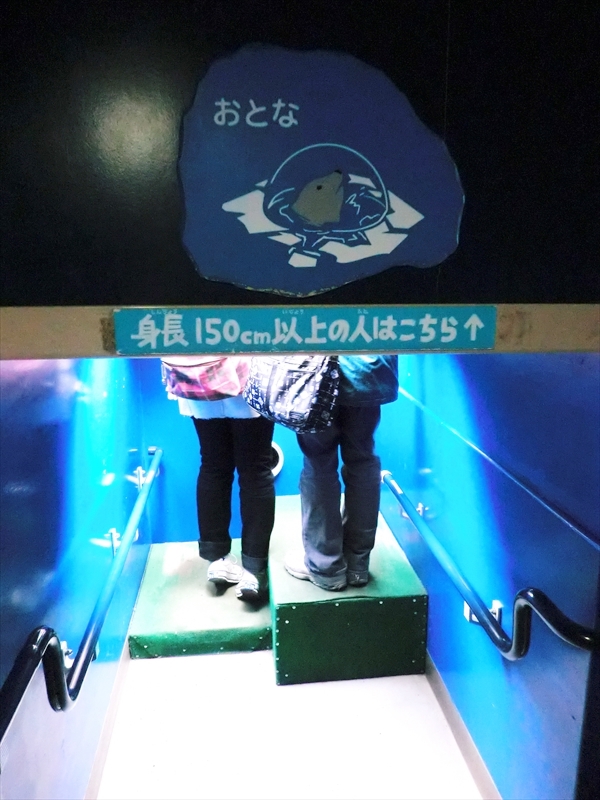 CIMG0617_R