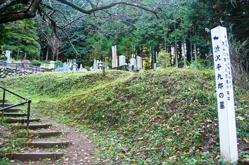 DSC01506_R