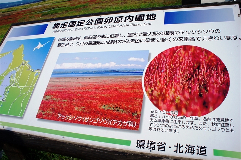 DSC00311_R