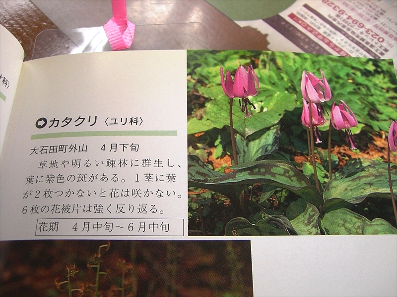 CIMG2958_R