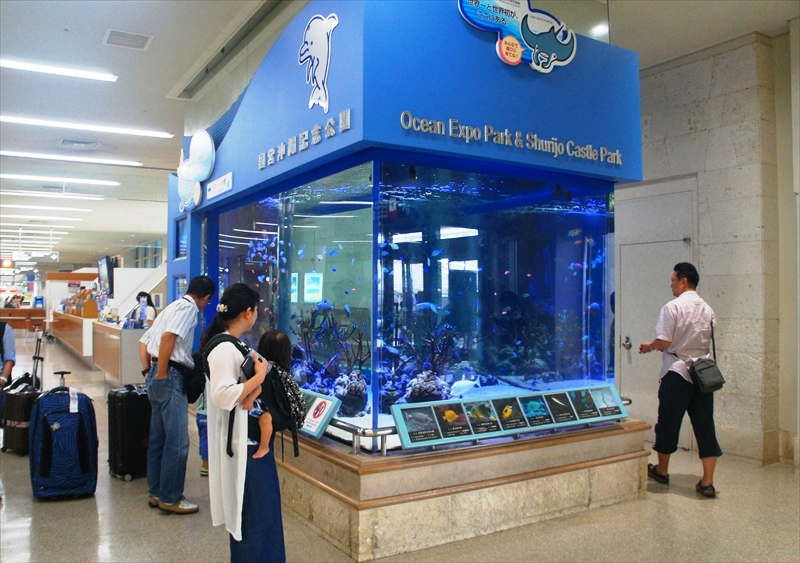 DSC00030_R