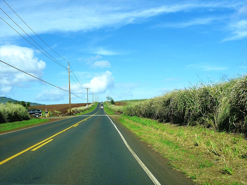 P1090077_R