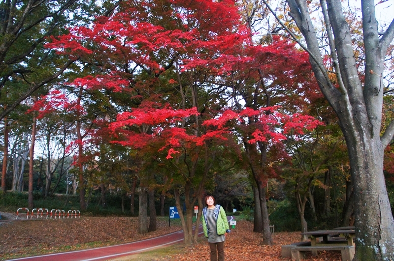 DSC02084_R