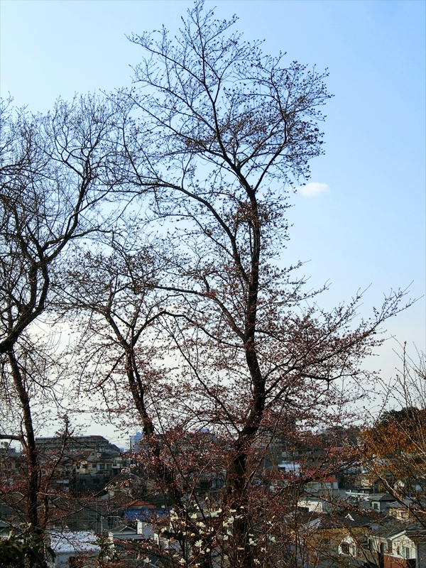 CIMG2369_R