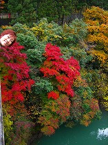 氷川渓谷2